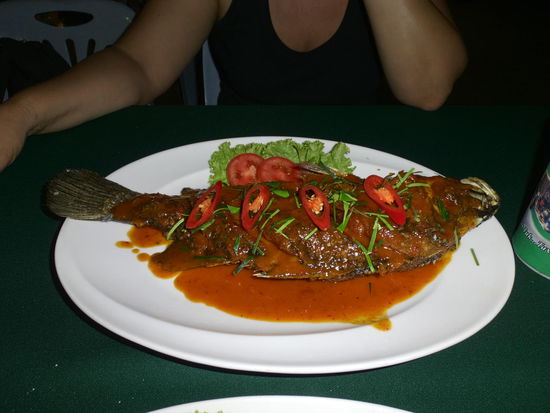 White Snapper mit Thaicurry. Hammer.