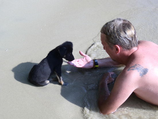 Süß der kleine, ne? ( Ja ja, der links. Schon klar )