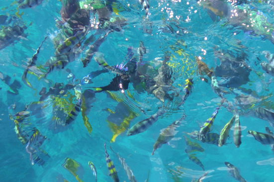 Sicht auf Wasser vom Boot aus.