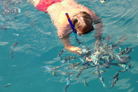 Papa beim Fischefüttern. Genial