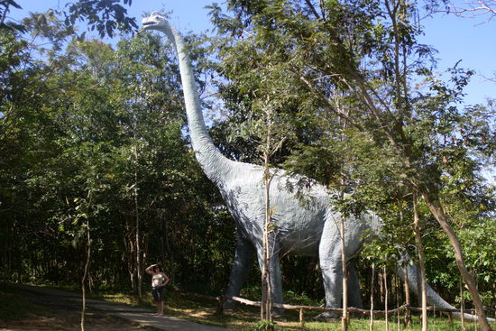 Langhals in Originalgröße