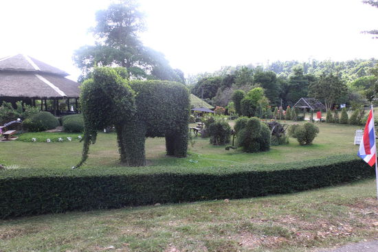 Heckenkunst, im Hintergrund das Restaurant