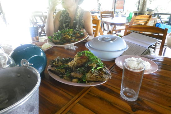 Vorne Fried Fish, hinten Fried Chicken mit frittiertem Thai-Basilikum, Zwiebeln und Knoblauch. Oberlecker.