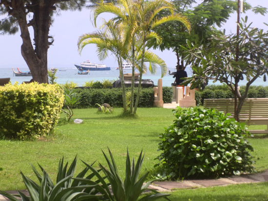 Blick von der Terrasse