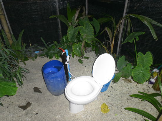 Toilette in einer grünen Oase
