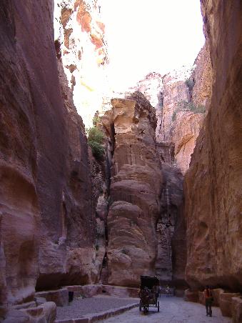 Mit der Kutsche durch den Aeusseren Siq