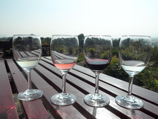 Weinprobe im Red Mountain Estate