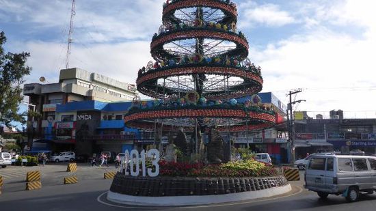 Der Weihnachtsbaum steht mitten auf der Verkehrsinsel