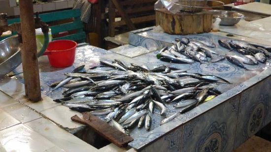 Dort gibt es Fisch Natur....