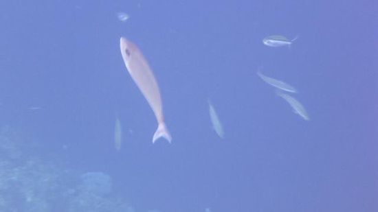 Das Wasser war einfach unglaublich schön