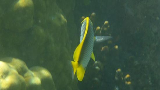Aber es waren ja noich ein paar Tage übrig (und Fische auch!)