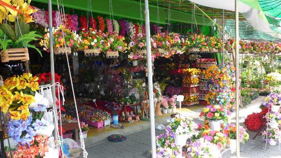 Auf dem Rückweg durch einen Blumenmarkt (keine Angst, ich habe mit meinem "Grünen Daumen" nichts angepackt, sonst wäre ich schon weggesperrt).