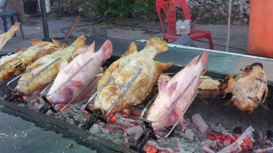 Gegrillter Fisch...