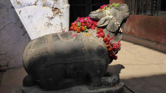 Ja, und der Bulle gehört zum "Kamasutra-Tempel".