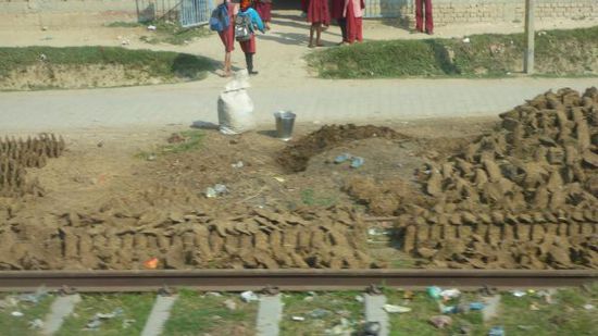 Und hier einer der Gründe, warum Kühe in Indien heilig sind: Sie produzieren Brennstoff (denn nichts anderes sind die zu "Halbtellern geformten Teile aus Kuhdung und Stroh, Sonnengetrocknet an der nächstgelegenen Wand oder Wiese).