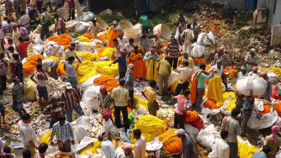 Und das erwartet mich auf der anderen Seite, hier ist wohl der markt für die Blumenkränze, die in den Tempeln gebraucht werden..