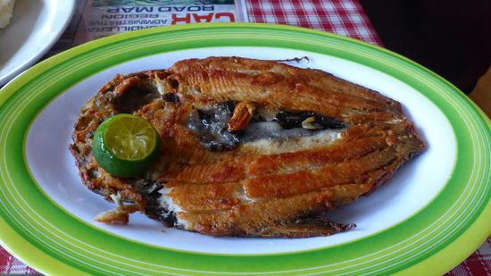 Der Milkfish sieht doch wohl lecker aus, oder (war er auch)