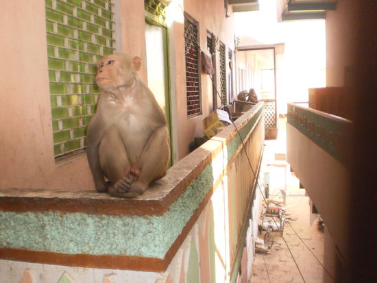 Besuch bei Paul vor dem Frühstück.