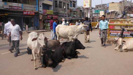 Die gehören natürlich auch ausserhalb der Altstadt zum Stadtbild.
