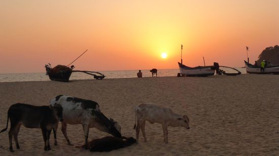 Ist das nicht herrlich.