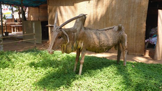Die treffen sich hier jedes Jahr und machen aus Bambus, Kokos und andern Sachen diese Tiere. Im Moment arbeiten sie an einer Riesenspinne (Durchmesser 2-3m!)