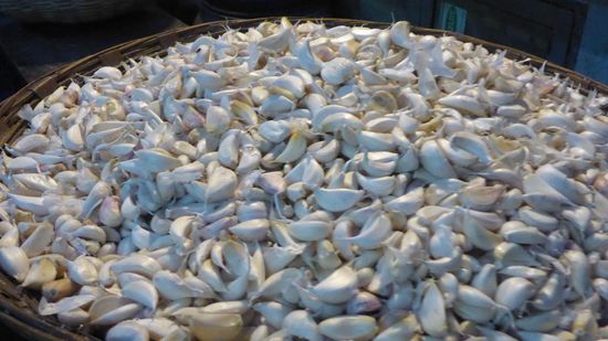 ... sogar einzelne Knoblauchzehen