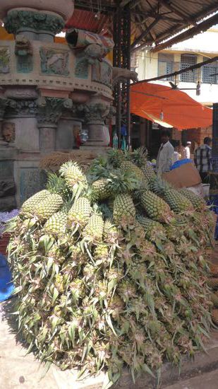 ...davor Ananas-Berge