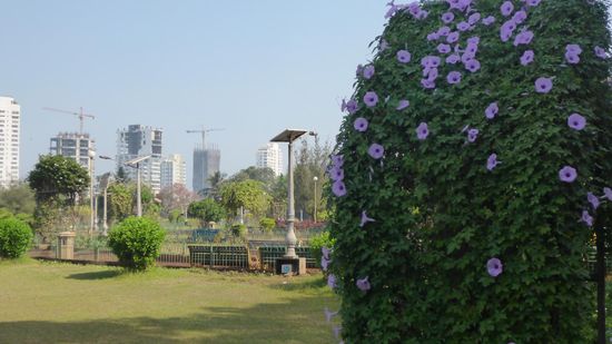 Noch blüht es ein bisschen, die Gärtner gießen auch ohne Pause: