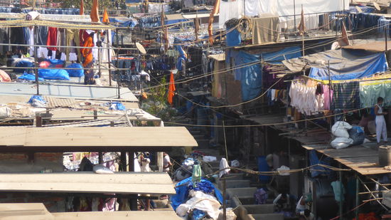 Hier wird echt hart gearbeitet! Und ob das alles so gesund ist.....