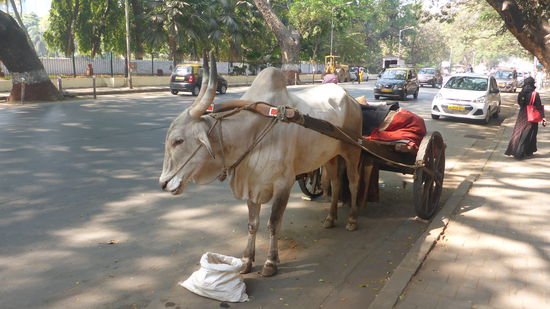 ... und Fahrzeuge aller Art.