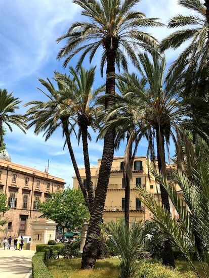 Dann geht es zur Kathedrale...