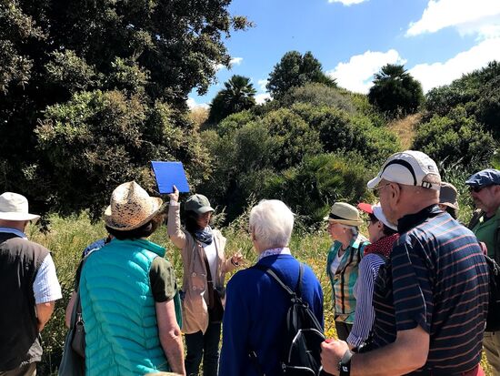 Erste Erläuterungen von Angelika.