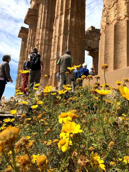 Hier kann man es erahnen, wie riesig diese Tempel waren.