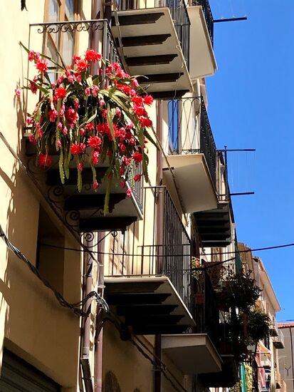 Schöner Balkonschmuck.