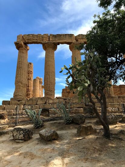 ...das Tal der Tempel bei Agrigento.