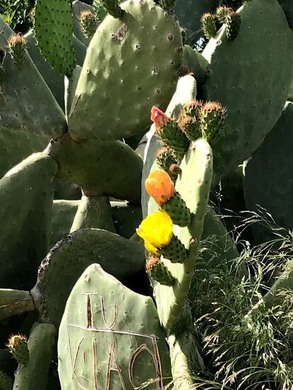 Sieht das nicht toll aus?