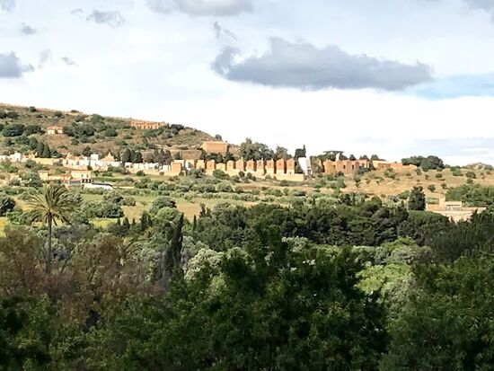 ....und neue (die schlanken höheren Gebäude)