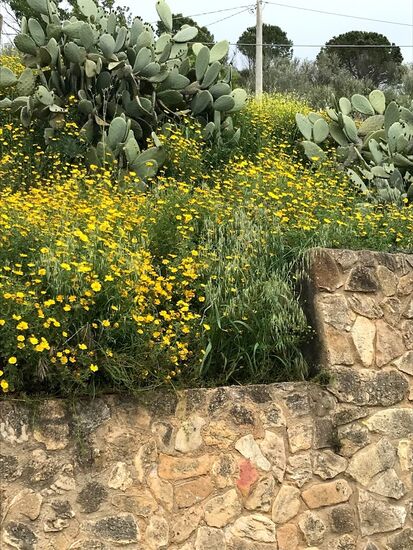 Auch hier schöne Natur.