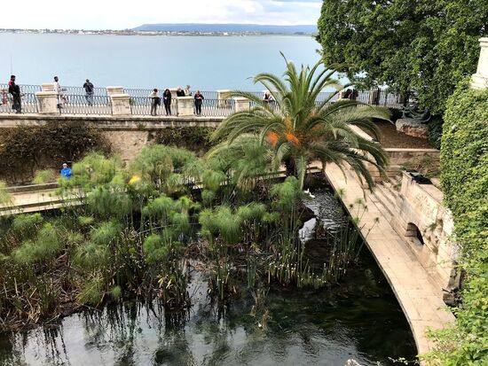 Die Arethusa-Quelle..