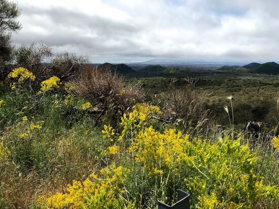 Aber etwas tiefer schon wieder viel freundlicher...