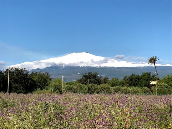 Man kann sehr gut erkennen, wie weit unten schon der Schnee anfängt.