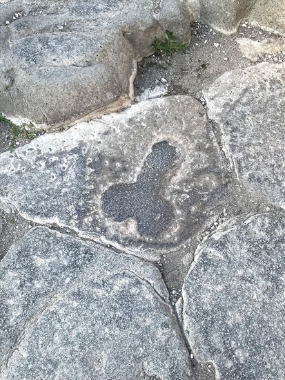 Und dieser Wegweiser führt.......zum Bordell.