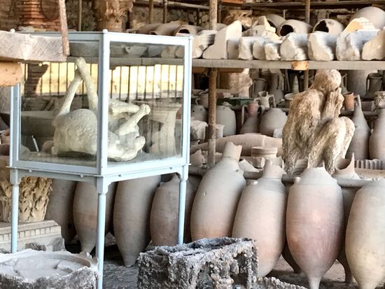 Ausgrabungsstücke und Gipsabgüsse von toten Menschen und Tieren (im Glaskasten ein Hund)