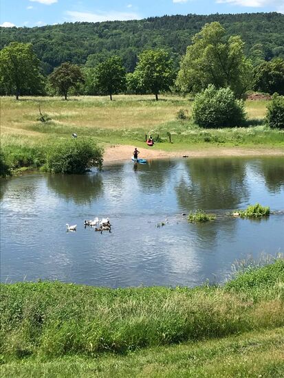 herrliche Wanderung am Main