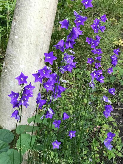 Und die Natur trägt was zum gelingen bei.