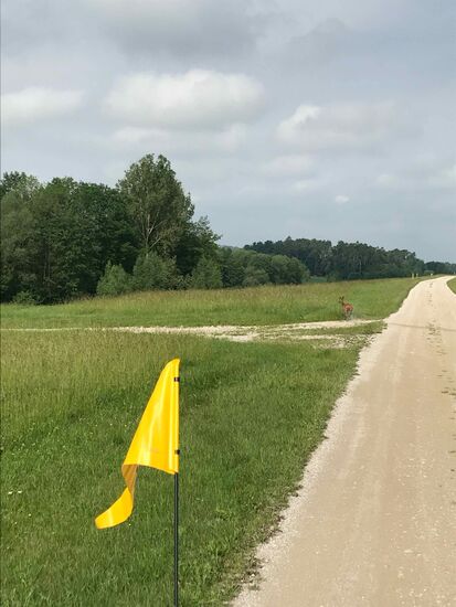 Da ist es auf meiner Seite angekommen und gibt Gas, die feuchte Spur kann man mittig am ,linken Bildrand erkennen.