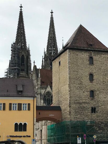 Regensburger Dom von weitem.