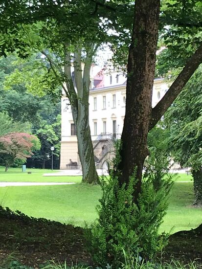 Blick durch den Zaun.