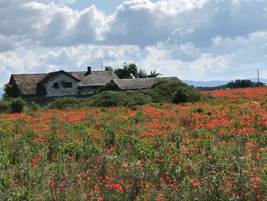 Na gut, verfallenes gibt es auch, aber schön!