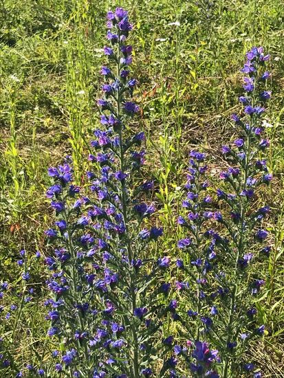 Und die Natur ist sehr schön vertreten.